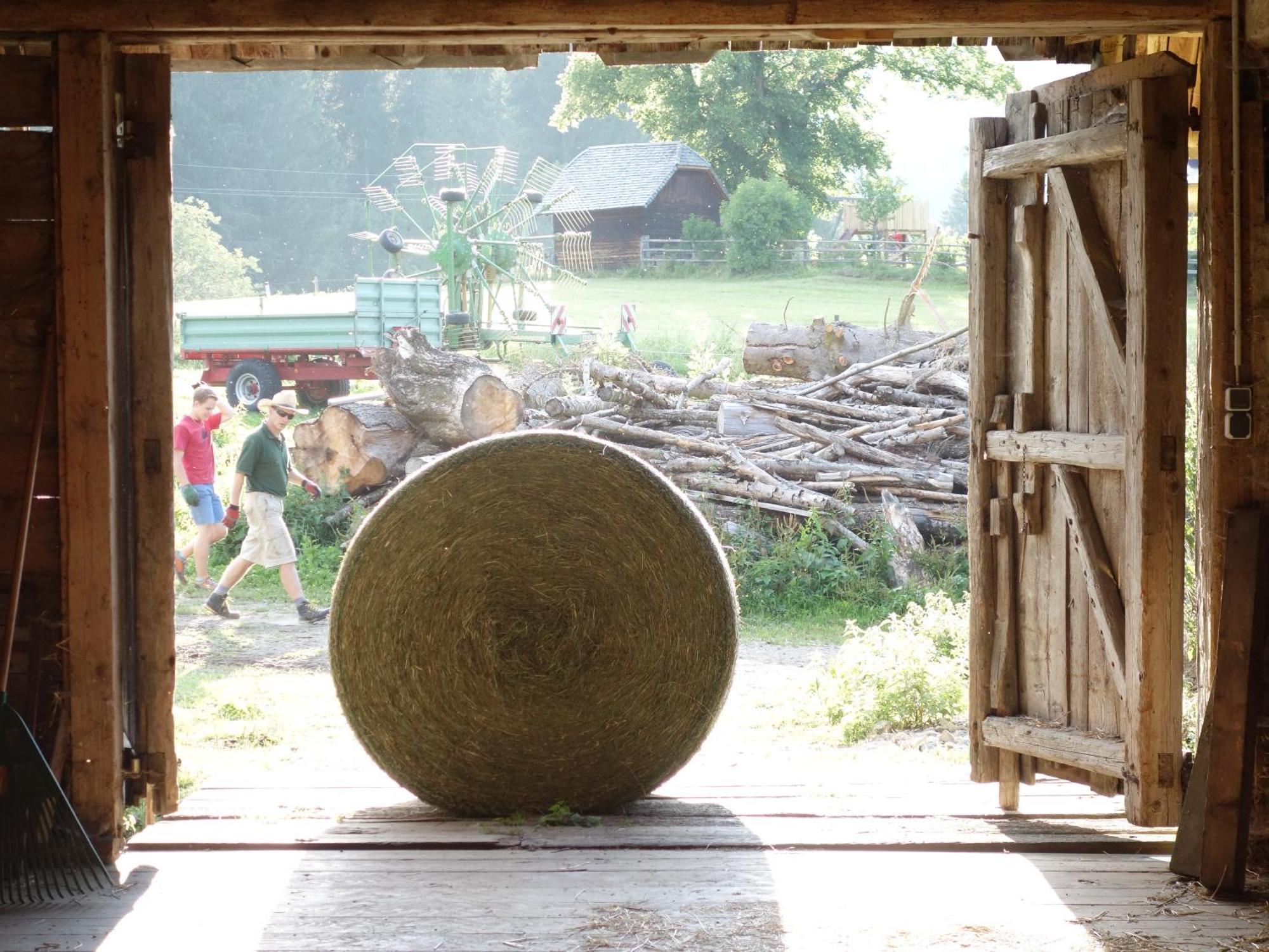 Vila Urlaub Am Bio-Bauernhof Liebchen Zeutschach Exteriér fotografie