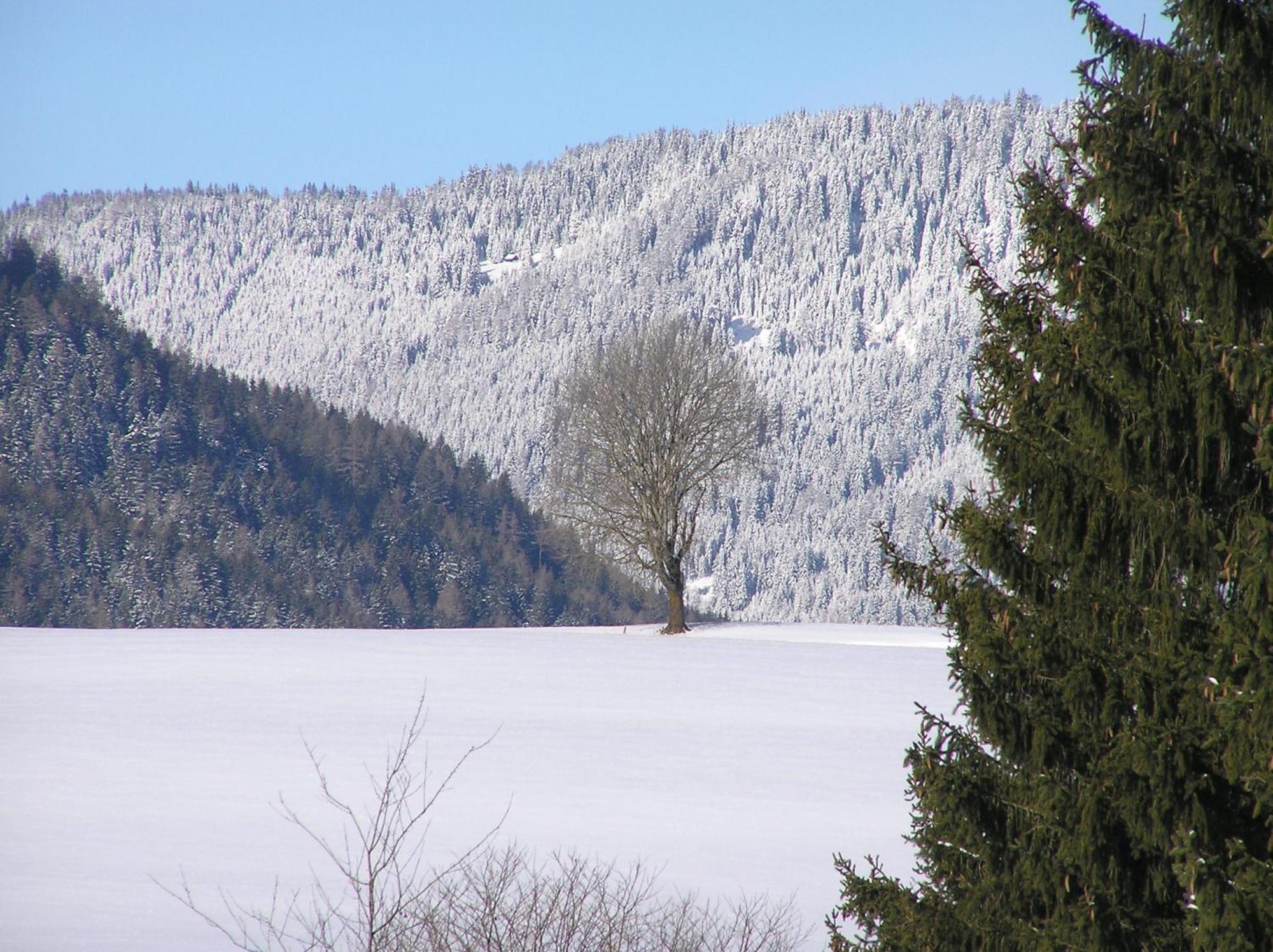 Vila Urlaub Am Bio-Bauernhof Liebchen Zeutschach Exteriér fotografie