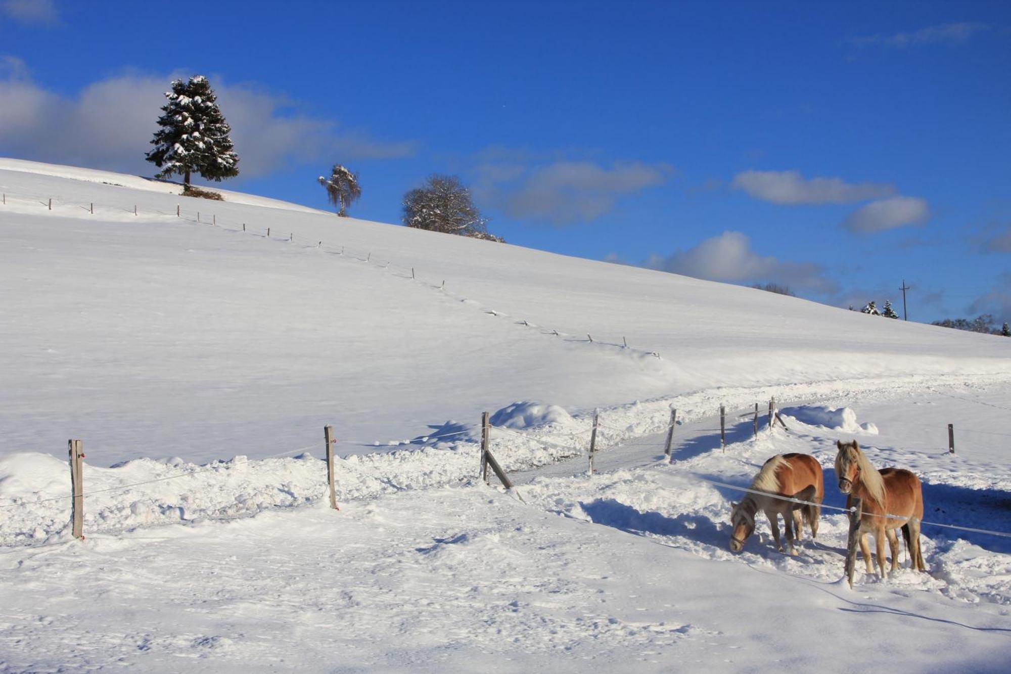 Vila Urlaub Am Bio-Bauernhof Liebchen Zeutschach Exteriér fotografie