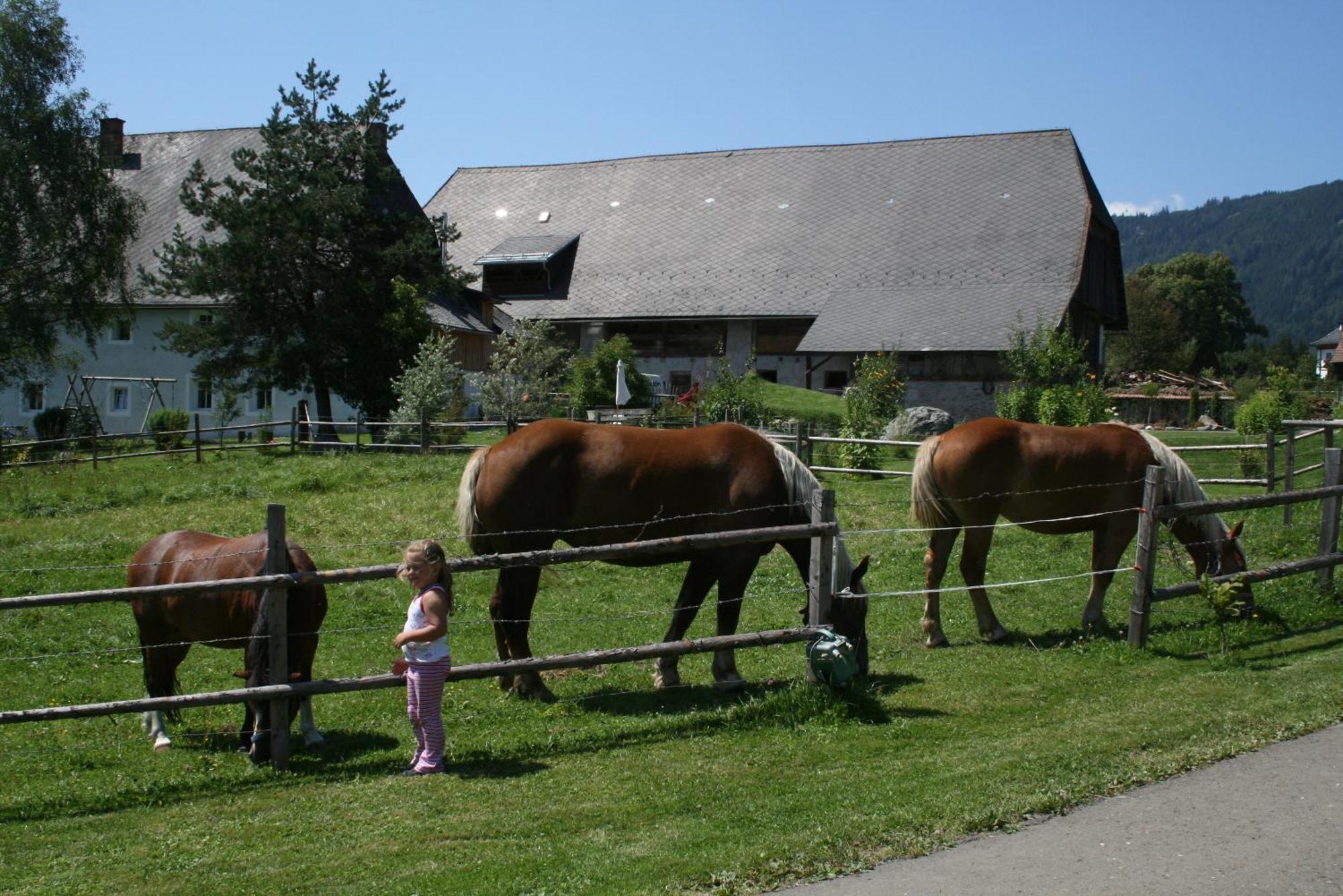 Vila Urlaub Am Bio-Bauernhof Liebchen Zeutschach Exteriér fotografie