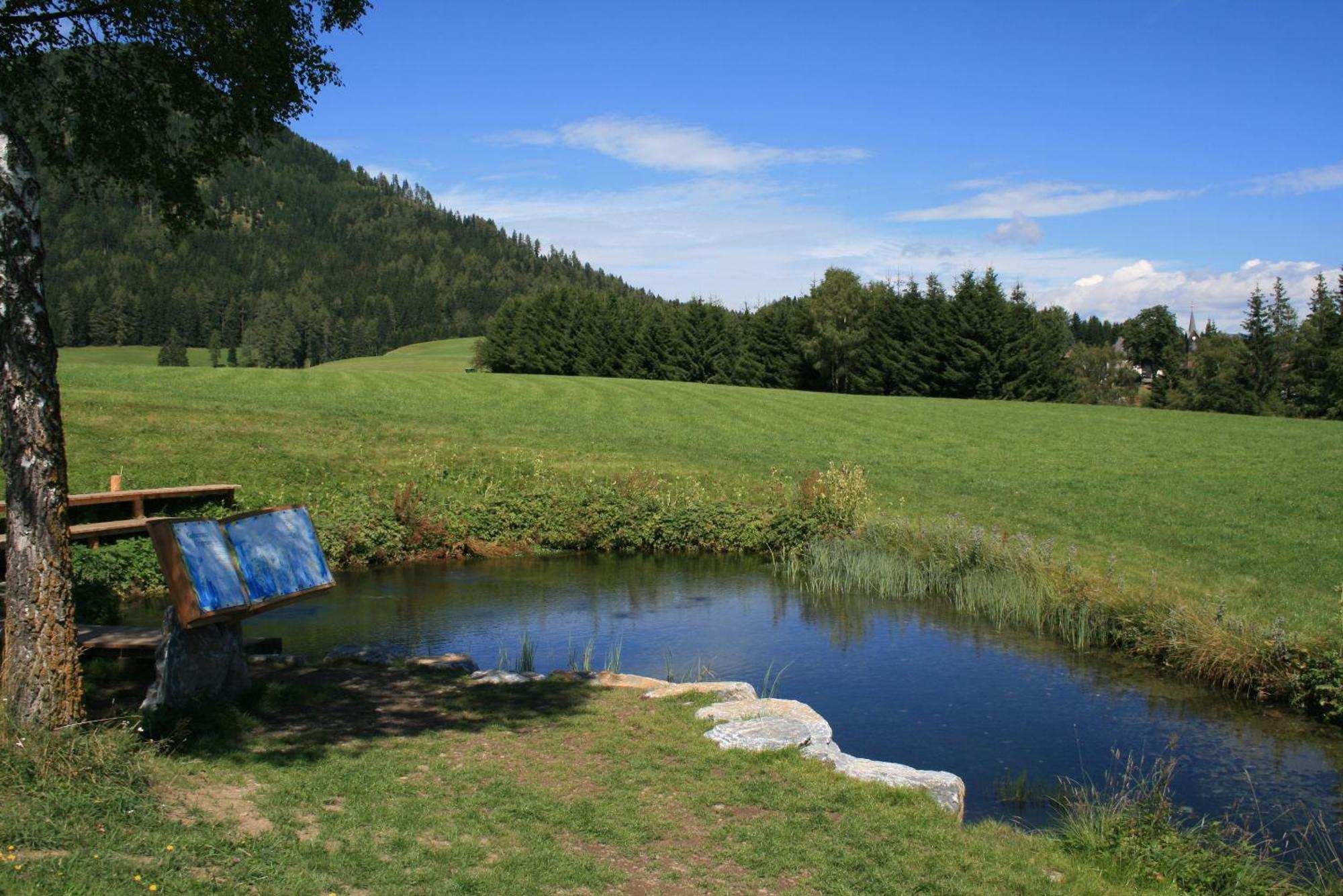 Vila Urlaub Am Bio-Bauernhof Liebchen Zeutschach Exteriér fotografie